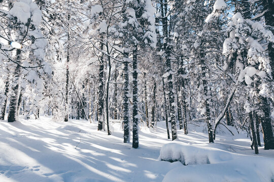 冬季天森林雪景树挂东北老里克湖