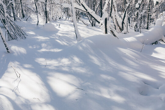 冬季天森林雪景树挂东北老里克湖