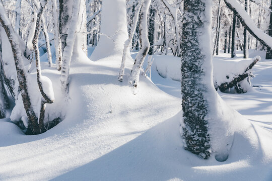 冬季天森林雪景树挂东北老里克湖