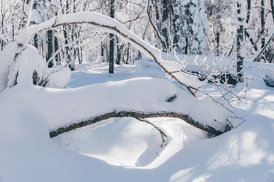 冬季天森林雪景树挂东北老里克湖