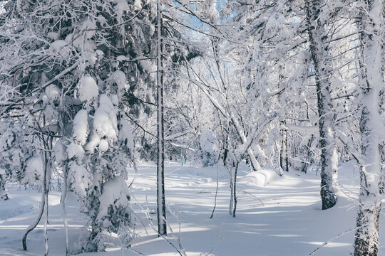 冬季天森林雪景树挂东北老里克湖