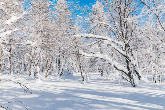 冬季天森林雪景树挂东北老里克湖