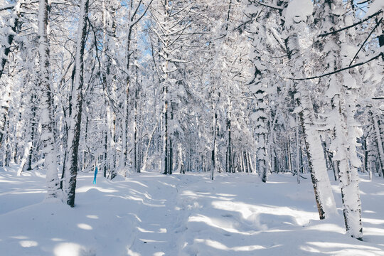 冬季天森林雪景树挂东北老里克湖