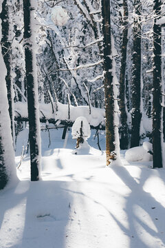 冬季天森林雪景树挂东北老里克湖