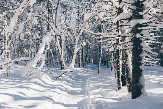 冬季天森林雪景树挂东北老里克湖