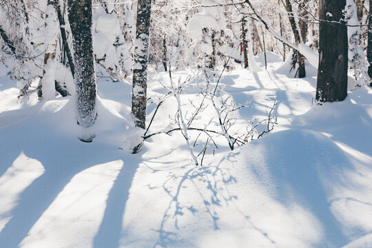 冬季天森林雪景树挂东北老里克湖