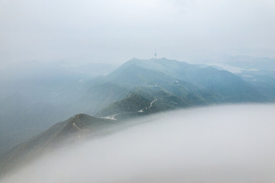 深圳梧桐山