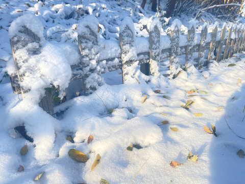 雪与落叶