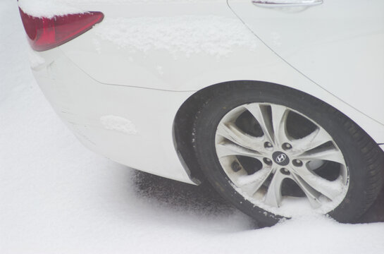 雪中的白汽车