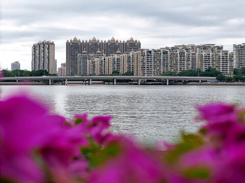 珠江边江景房