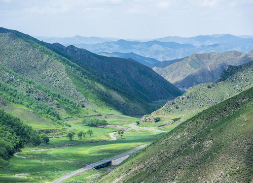 大青山阴山北坡桦树林