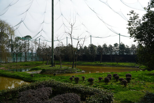 洋县朱鹮生态园