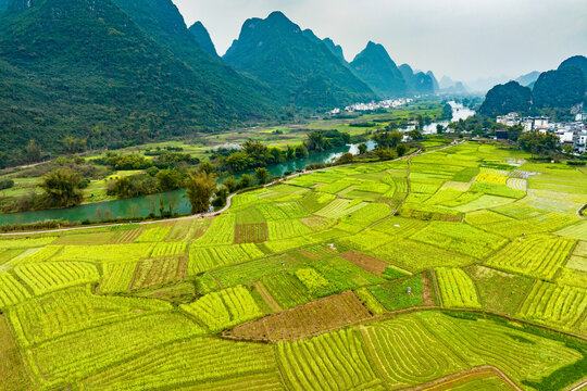 广西阳朔遇龙河景区河畔油菜花开