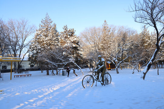 公园诗意冬雪