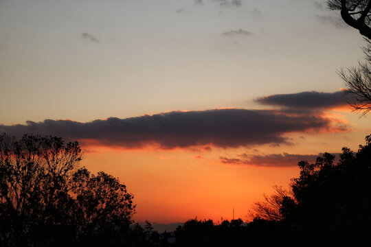 夕阳染红的天空