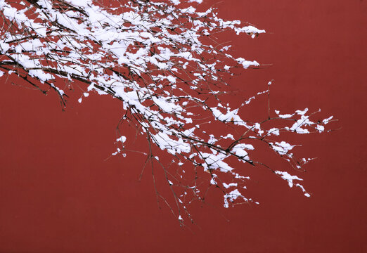 红墙树木雪