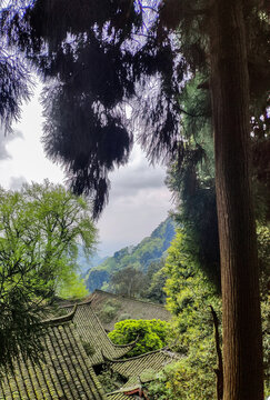青城山一角