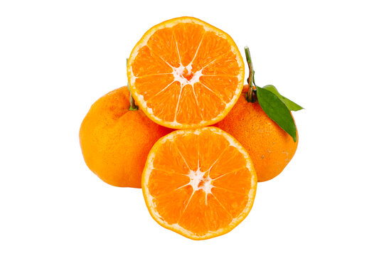 明日见柑橘