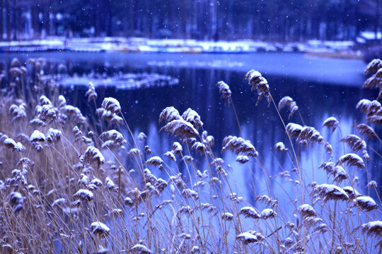 海曲公园雪景