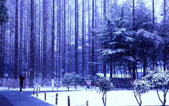 海曲公园雪景