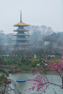 雨天武汉东湖樱园五重塔