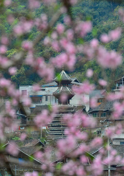 春天里的侗寨