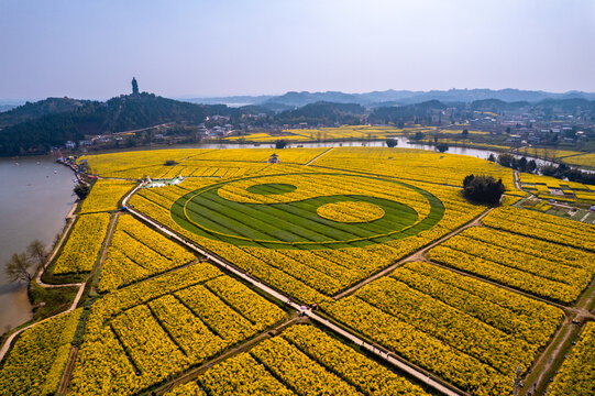 重庆潼南崇龛油菜花