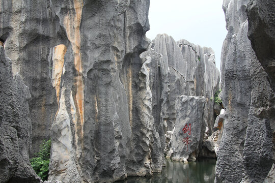 雲南石林