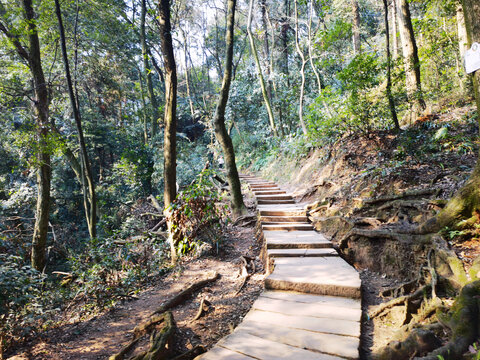 山间石板路