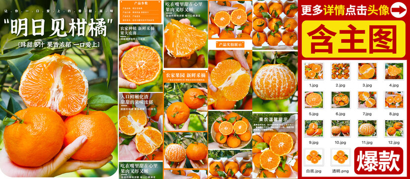 明日见柑橘详情