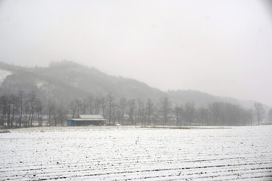 雪中孤房