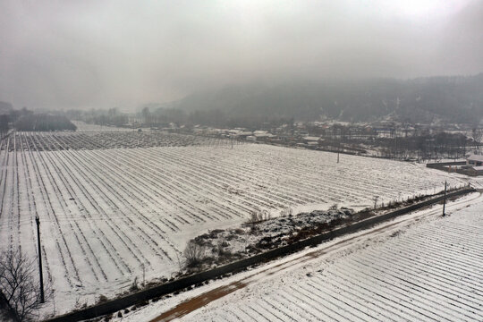 雪中的田地