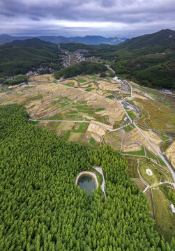 浙江温州瓯海泽雅五凤垟田野