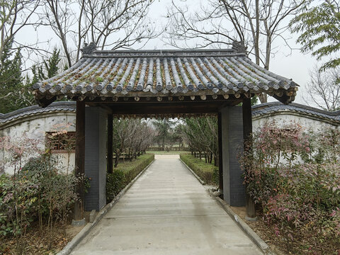 草堂寺内景