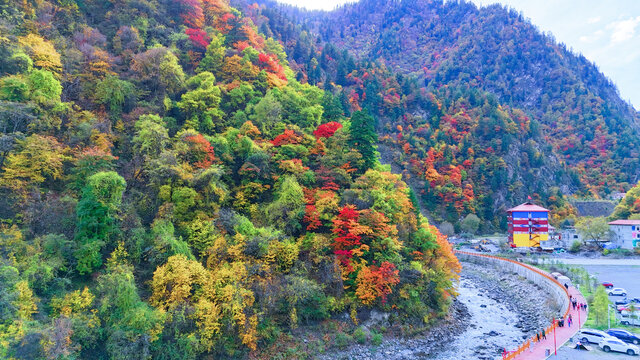 航拍四川阿坝奶子沟秋景彩林