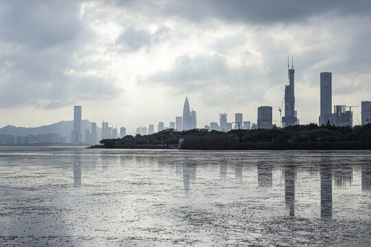 深圳湾退潮后景象