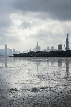 深圳湾退潮后景象