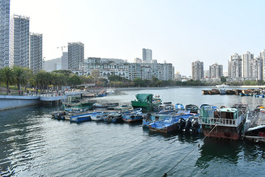 停靠在海湾的船