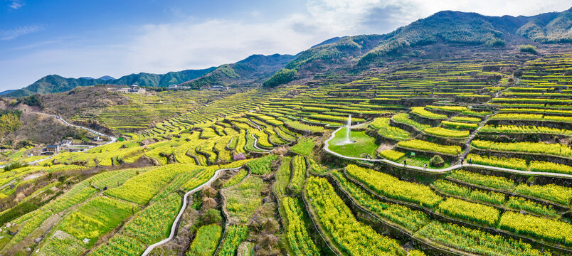 覆卮山油菜花梯田航拍全景