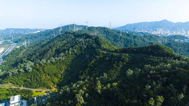 大雁山森林公园