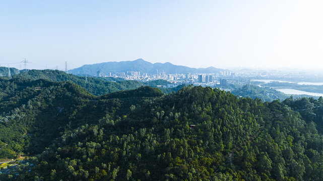 大雁山森林公园