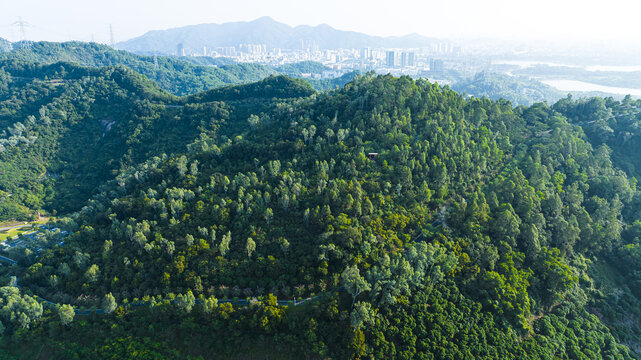 大雁山森林公园