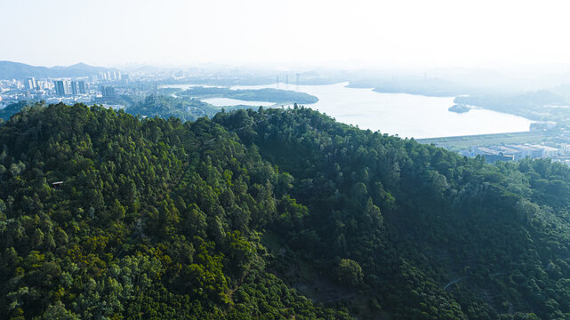 大雁山森林公园