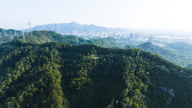 大雁山森林公园