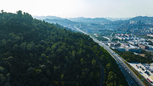 大雁山森森公园