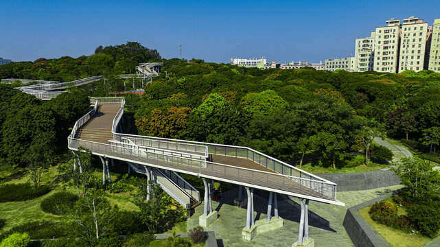 虎地山森林公园