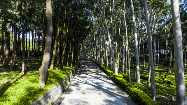 石岩湖温泉渡假村