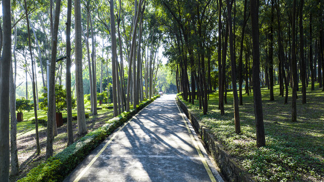 石岩湖温泉渡假村