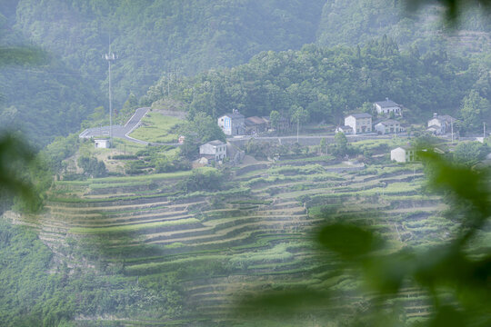 层层梯田