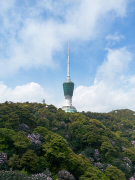 深圳梧桐山电视塔云海城市风光